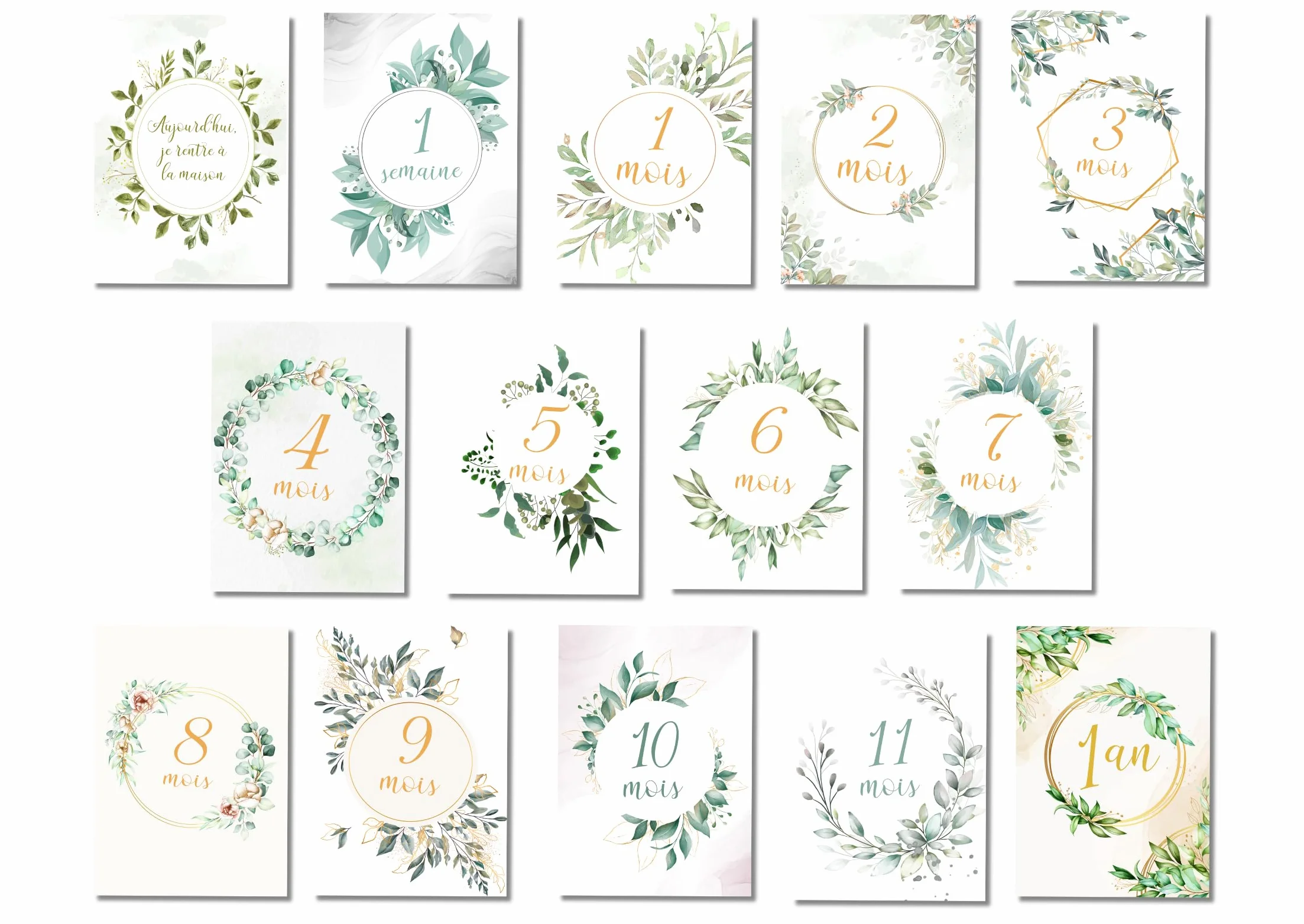 Cartes Étape Bébé Floral Vert – 14 Cartes Souvenir Mois par Mois – Cadeau Naissance Original