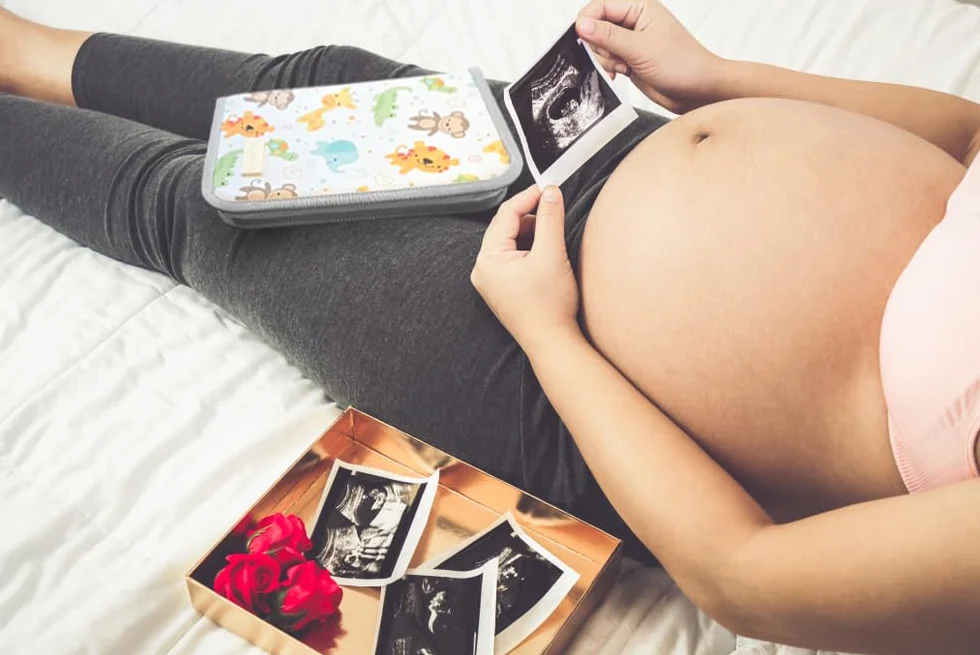 TENDS Protege carnet de Sante Bebe avec Porte Document - Housse pour Documents Essentiels