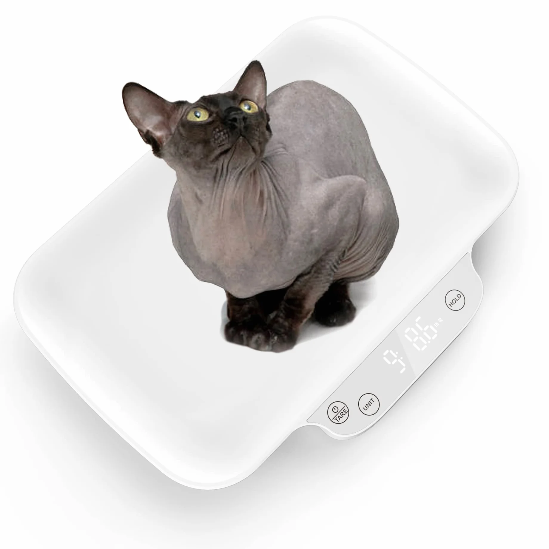 Balance pour animal de compagnie 15 kg (± 1 g) 30 cm pour chiot et chaton nouveau-né (Blanc)