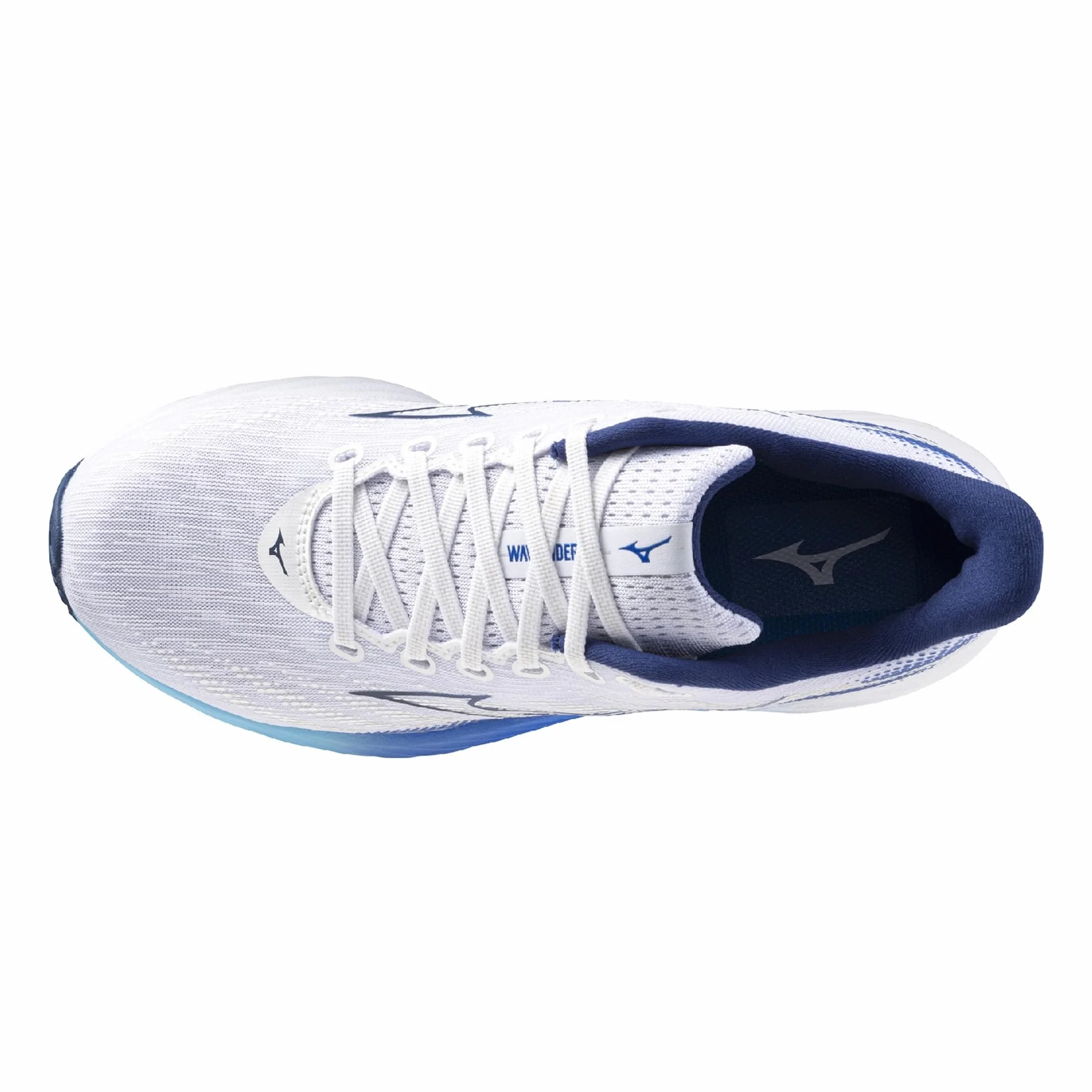 Mizuno Wave Rider 28 Chaussure de course Homme