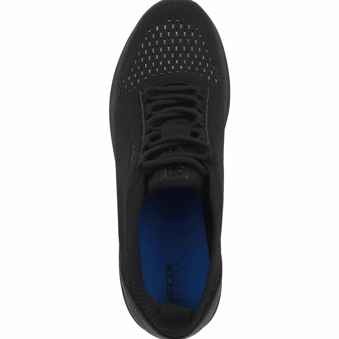 Geox D Spherica A Basket Femme