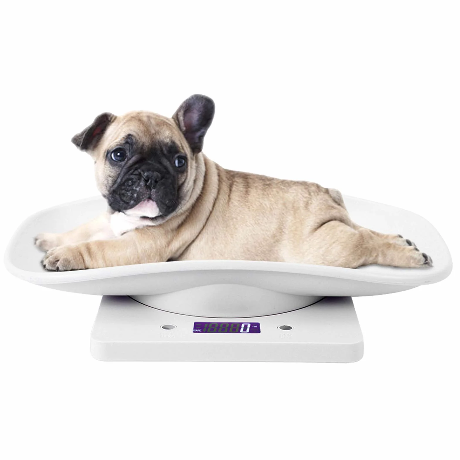Balance Numérique Pour Animaux De Compagnie, Pèse Chat Bébé, échelle Animale LCD Mini Chiot Chien Hamster Hérisson 3 Modes Blanc