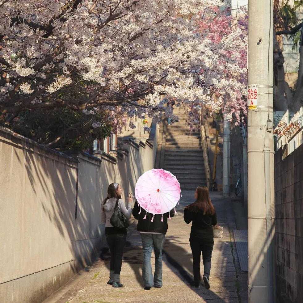 Parapluie à Pompon en Soie, Parasol en Soie de Bambou Chinois avec Glands, Parapluie de Danse Classique Imperméable pour Mariage (Rose)