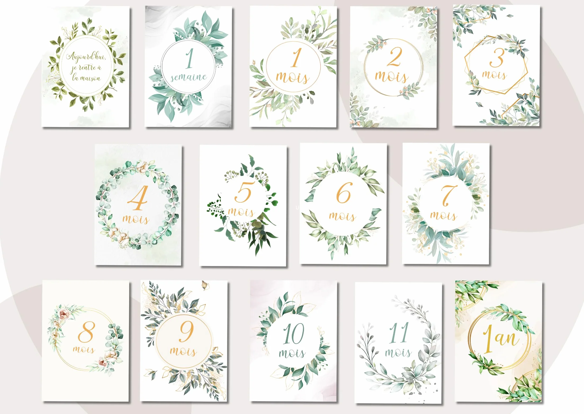 Cartes Étape Bébé Floral Vert – 14 Cartes Souvenir Mois par Mois – Cadeau Naissance Original