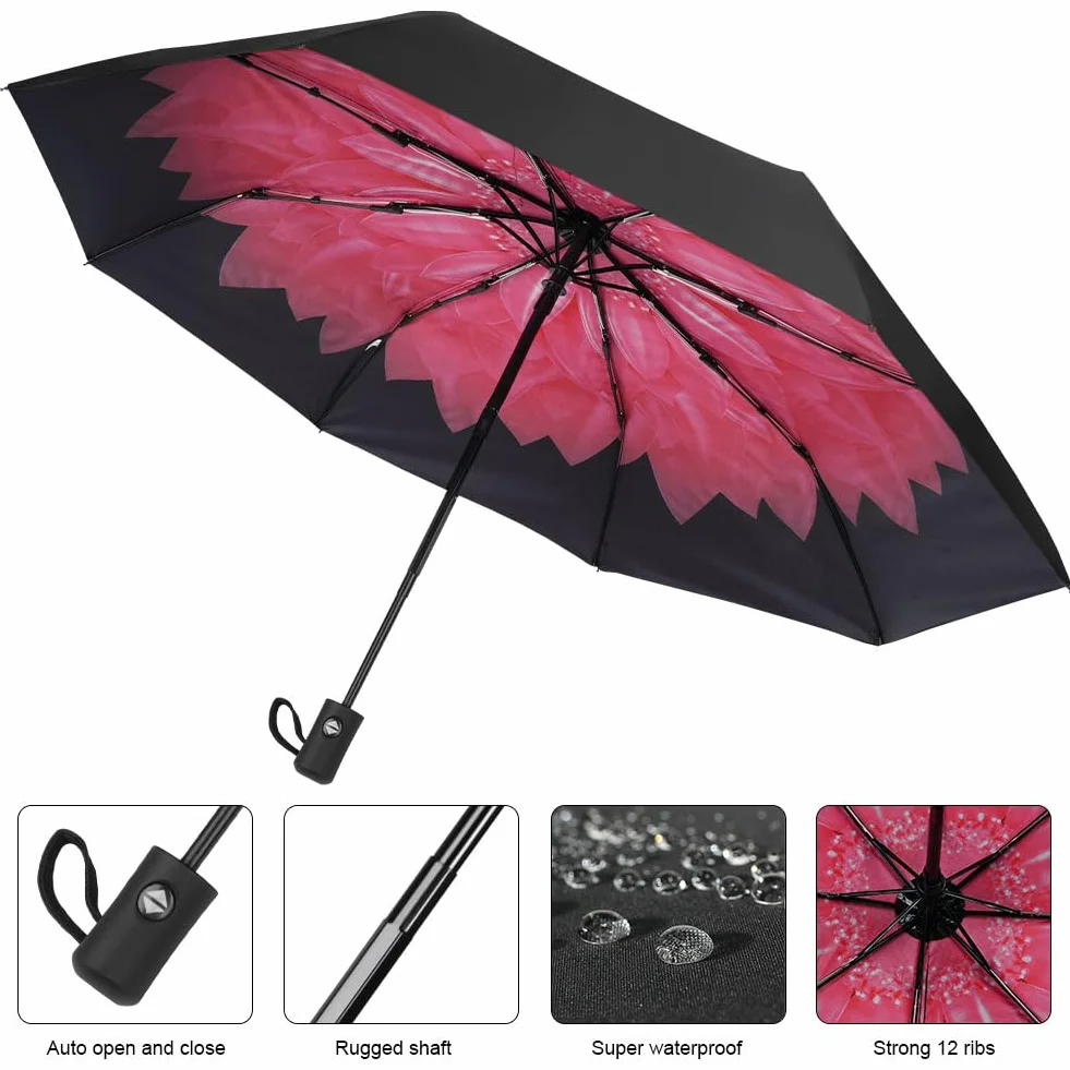 Parapluie de Voyage Anti-Tempête Automatique Compact Coupe-Vent 8 Nervures
