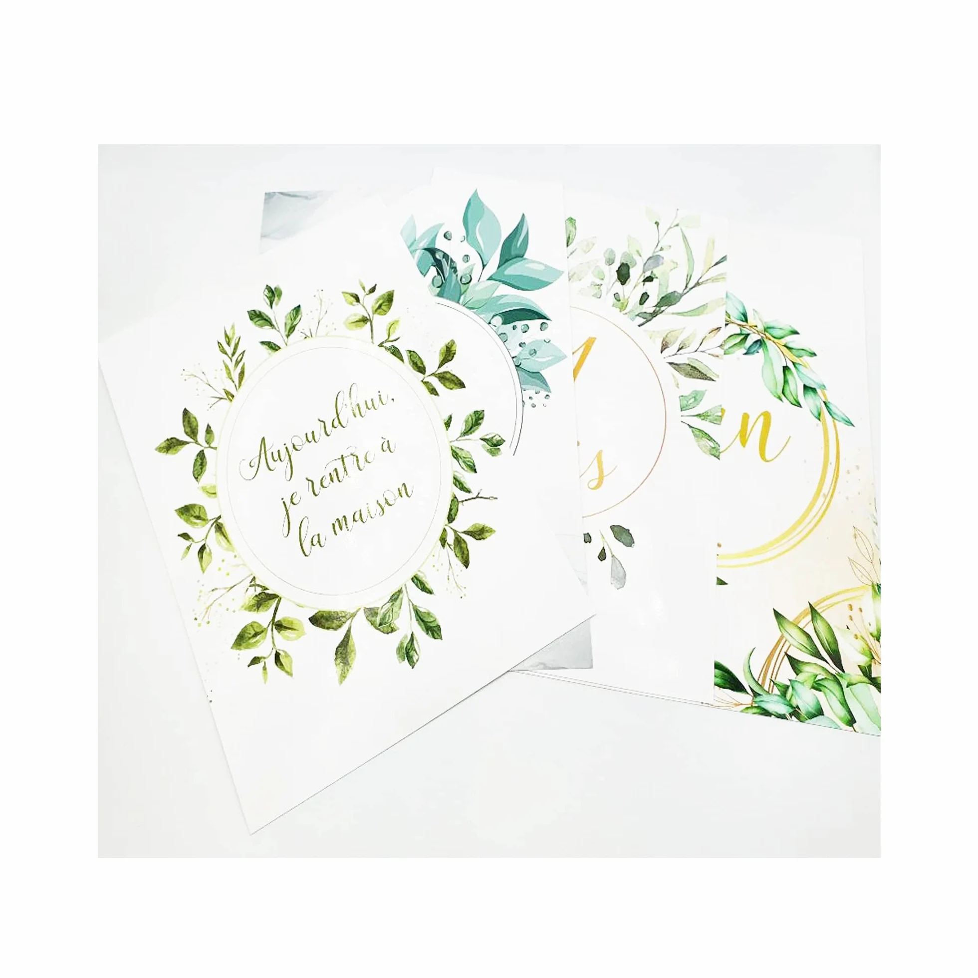 Cartes Étape Bébé Floral Vert – 14 Cartes Souvenir Mois par Mois – Cadeau Naissance Original