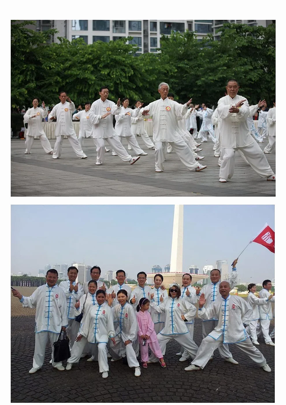 Coton et Lin Tai Chi Vêtements Uniforme Kung Fu pour Arts Martiaux