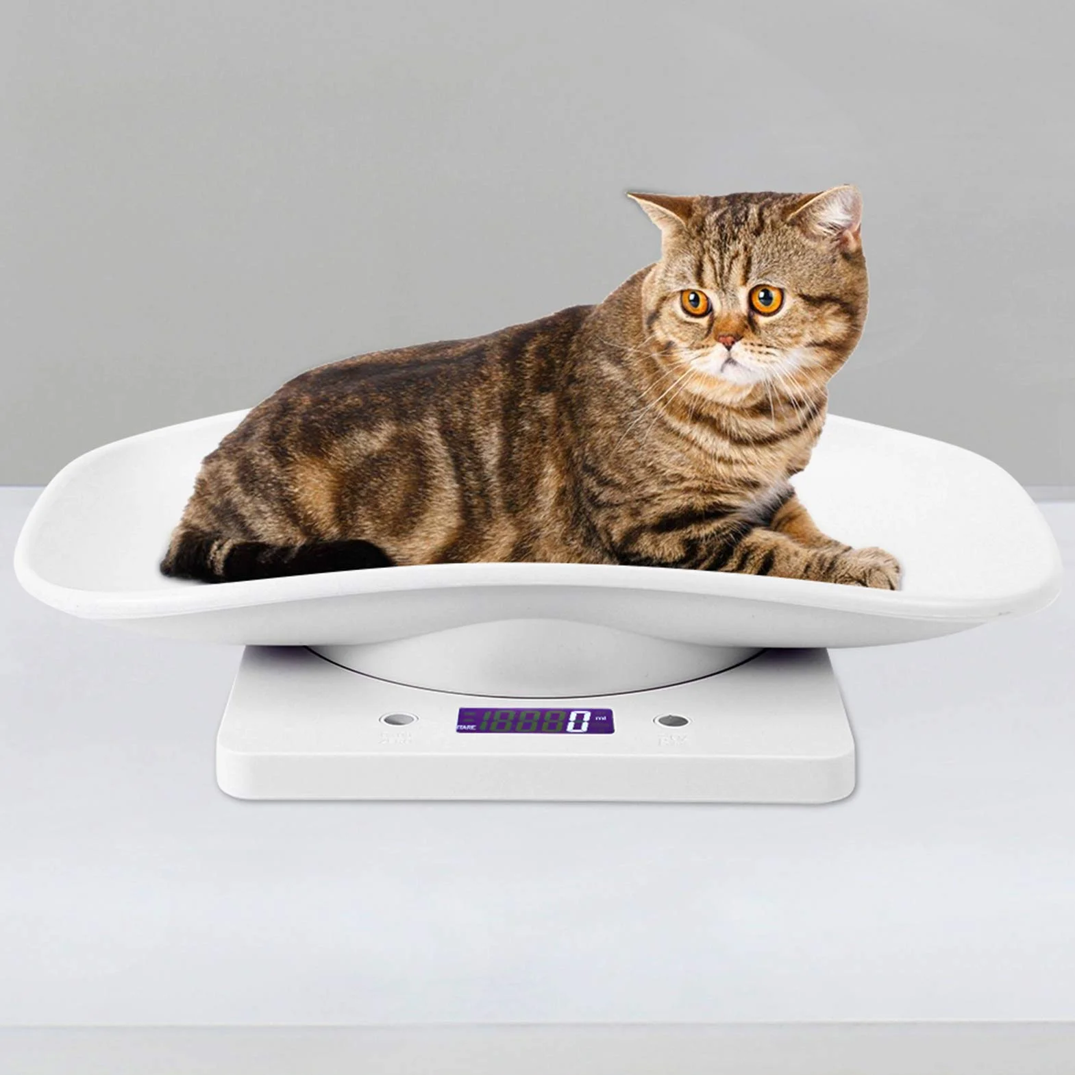 Yctze Balance de Poids Numérique pour Chiots 10kg/1g