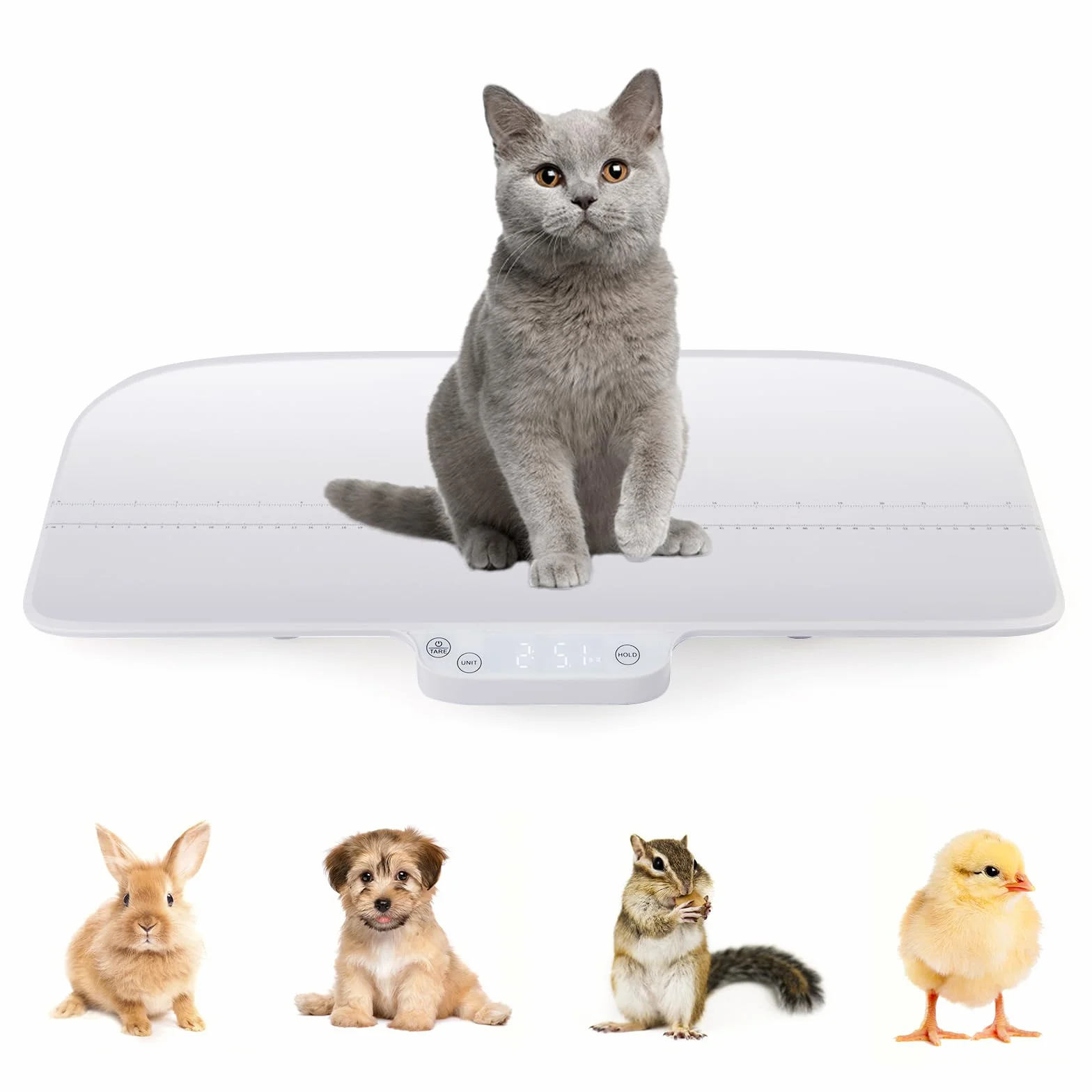 GOPLUS Pèse-Bébé Numérique 30 Kg, Fonctions de Maintien et de Tare, Affichage LED
