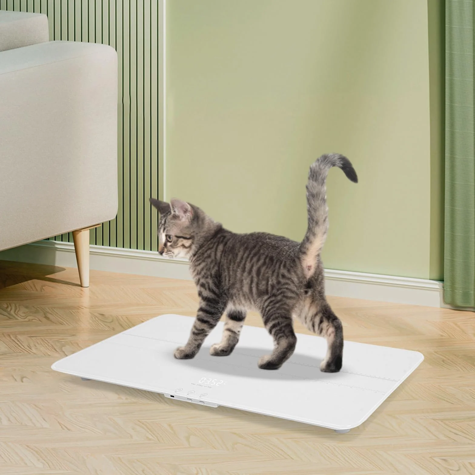 Balance numérique pour chiens 100kg précision 10g affichage LCD 3 modes kg lb oz chargement USB fonction Tara