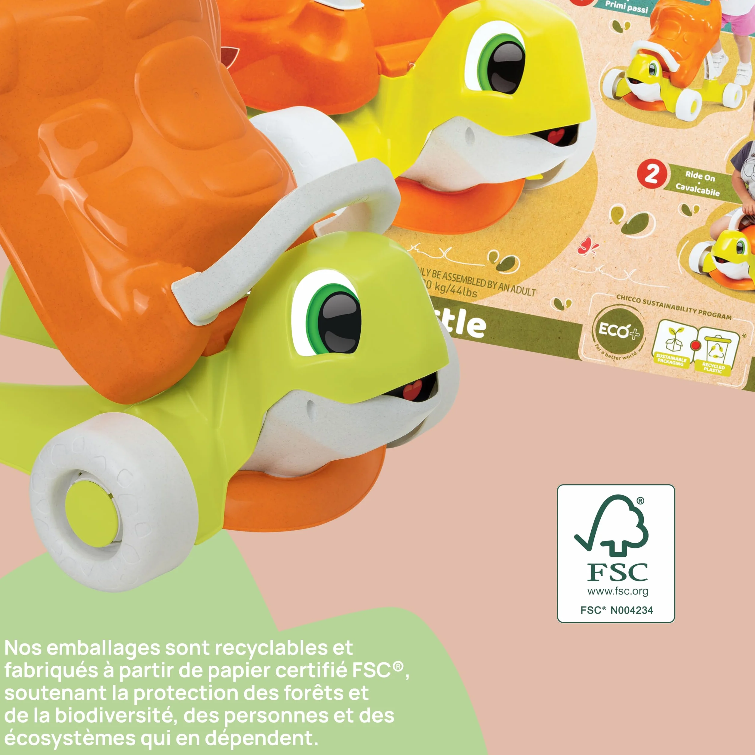 Chicco Tortue Aide à la Marche 2en1 Eco + Trotteur Porteur Plastique Recyclé Fabriqué Italie 9-36 Mois