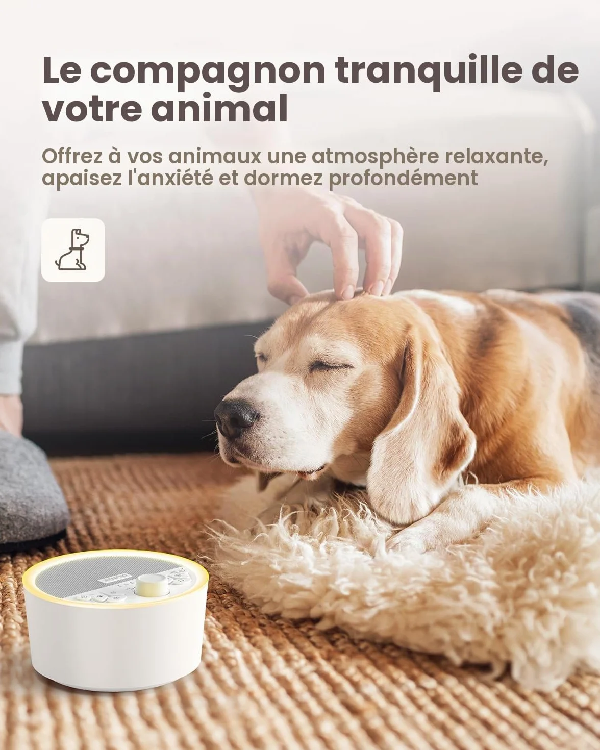 RENPHO Machine à bruit blanc, Appareil de sommeil portable avec 29 sons, minuterie réglable