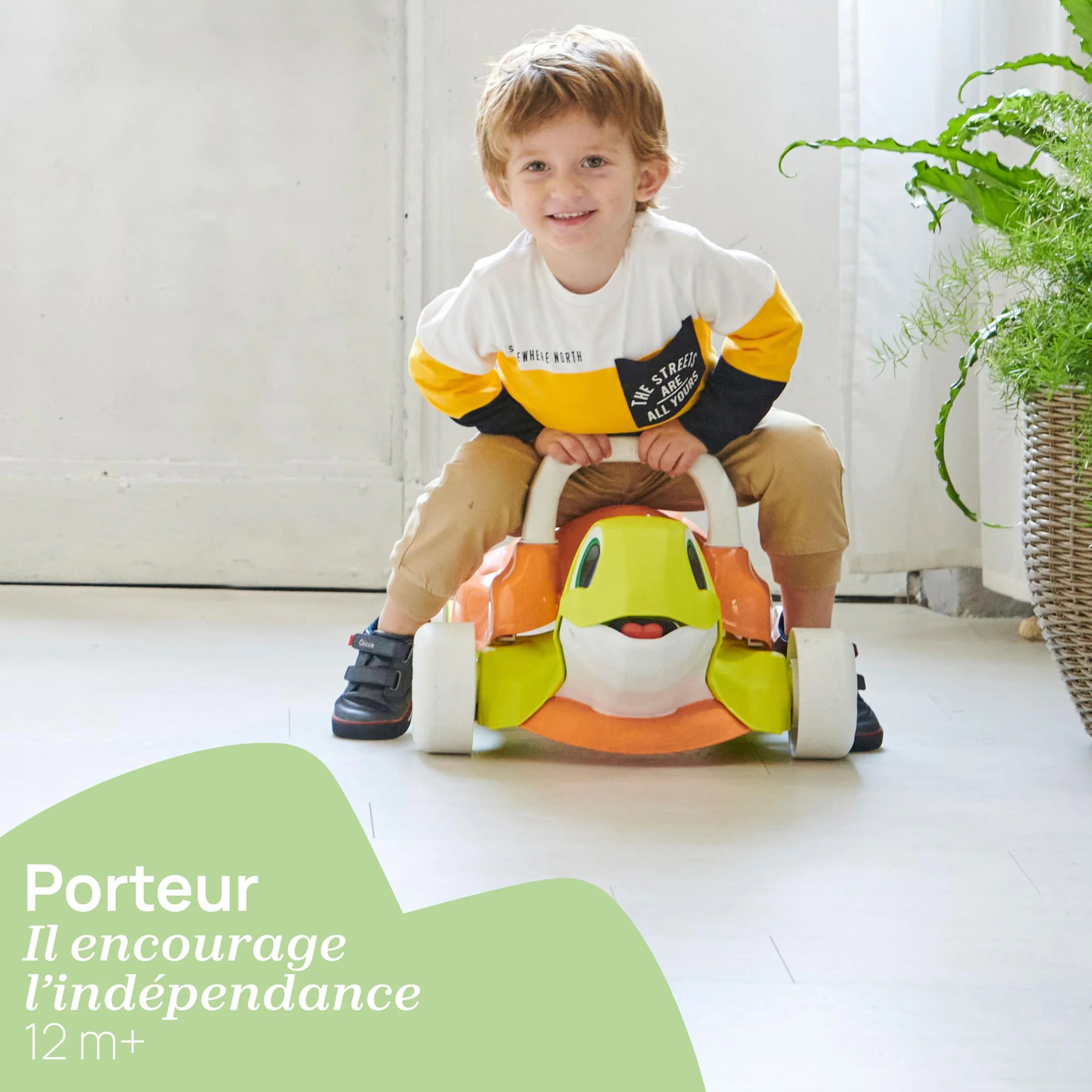 Chicco Tortue Aide à la Marche 2en1 Eco + Trotteur Porteur Plastique Recyclé Fabriqué Italie 9-36 Mois
