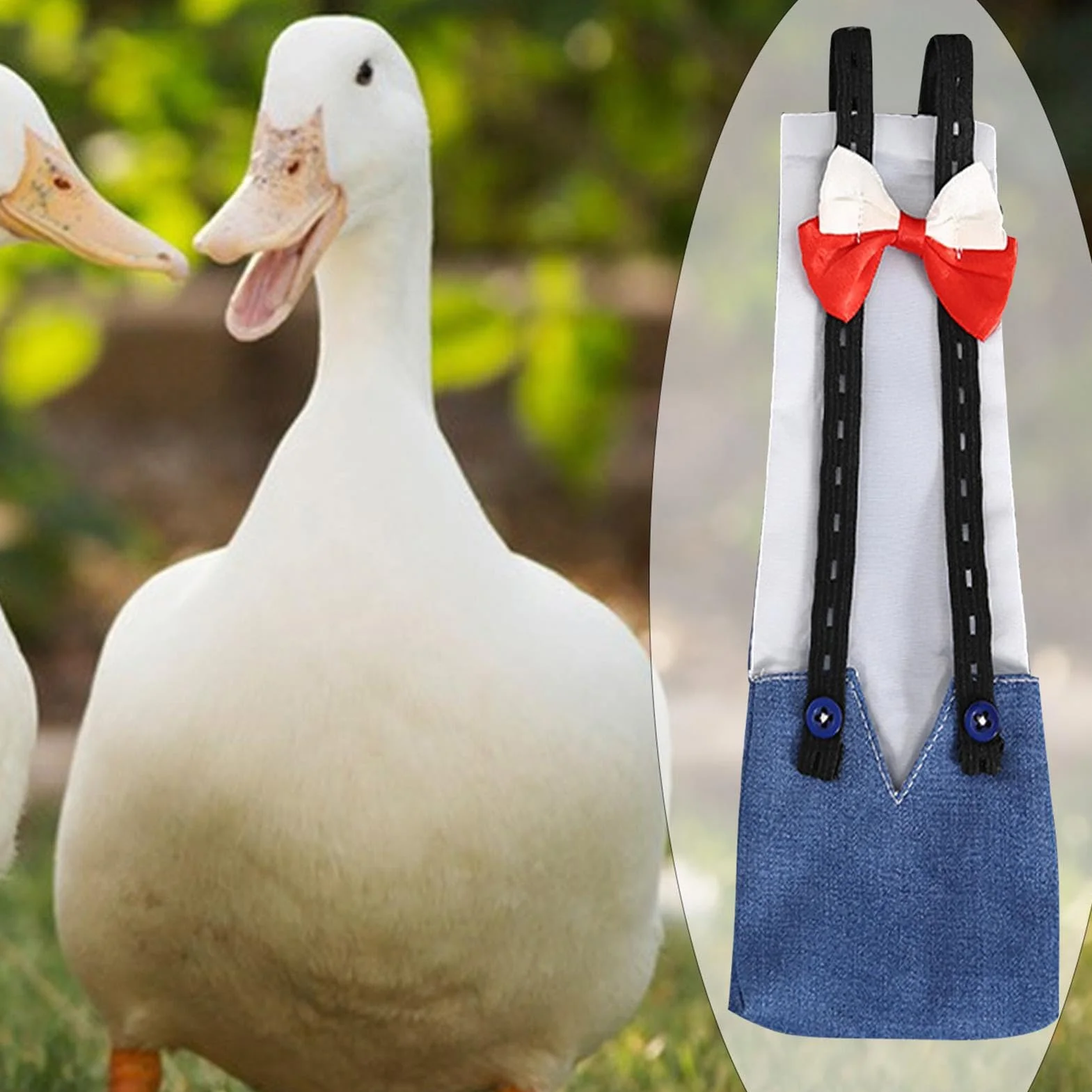 Couches de Poulet réutilisables pour Poules et Canards - Couche de Canard réglable