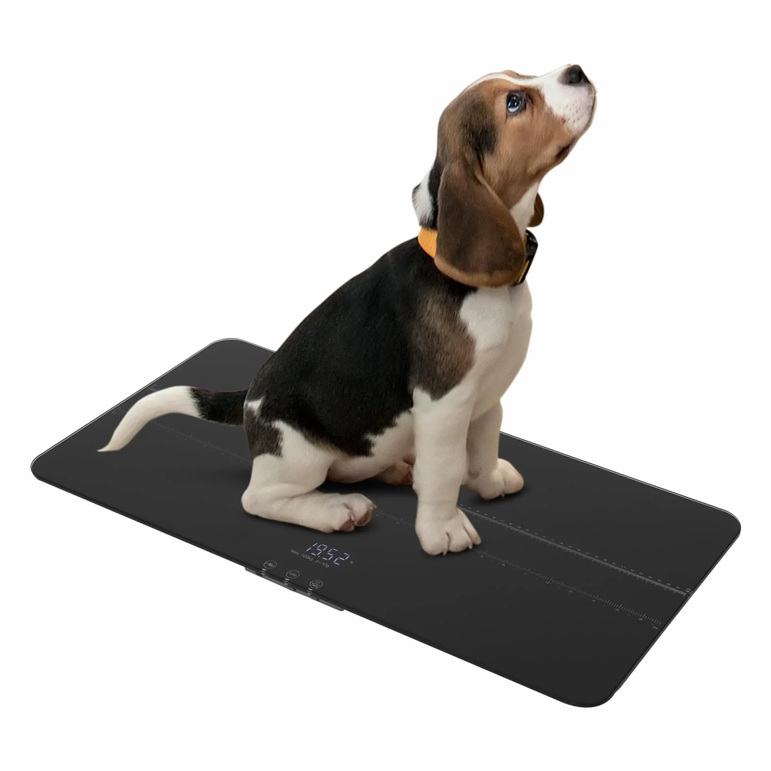 Pèse-chien numérique 100 kg précision 10 g affichage LED 3 modes tare USB noir