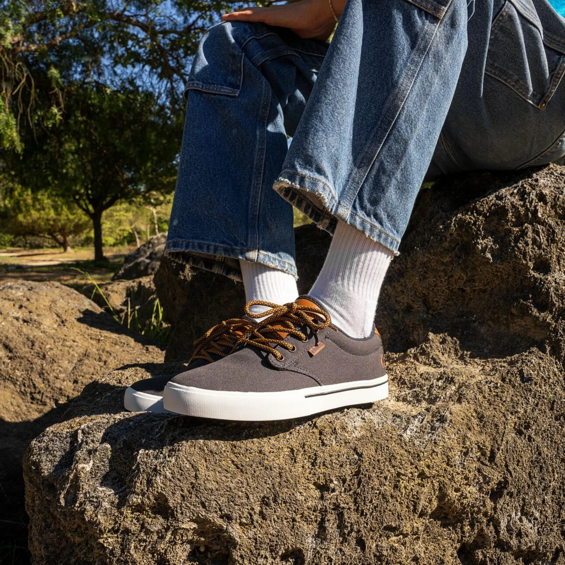 Etnies Jameson 2 Eco Baskets homme