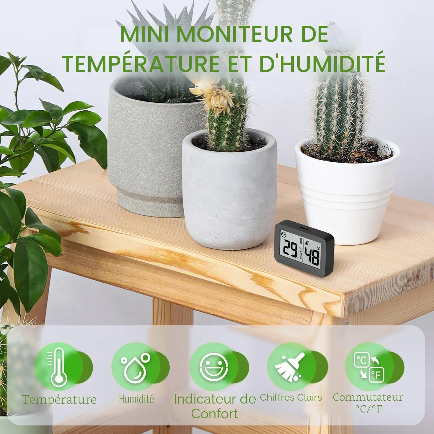 Mini hygromètre thermomètre d'intérieur, jauge d'humidité avec ℃, moniteur de température numérique pour serre (2, Noir, 5cm)