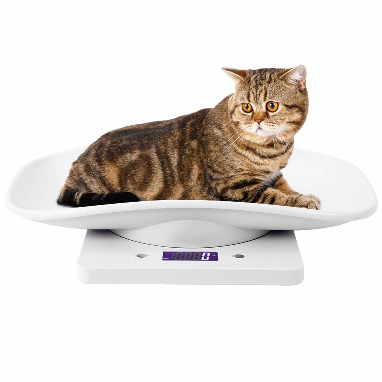 Yctze Balance de Poids Numérique pour Chiots 10kg/1g