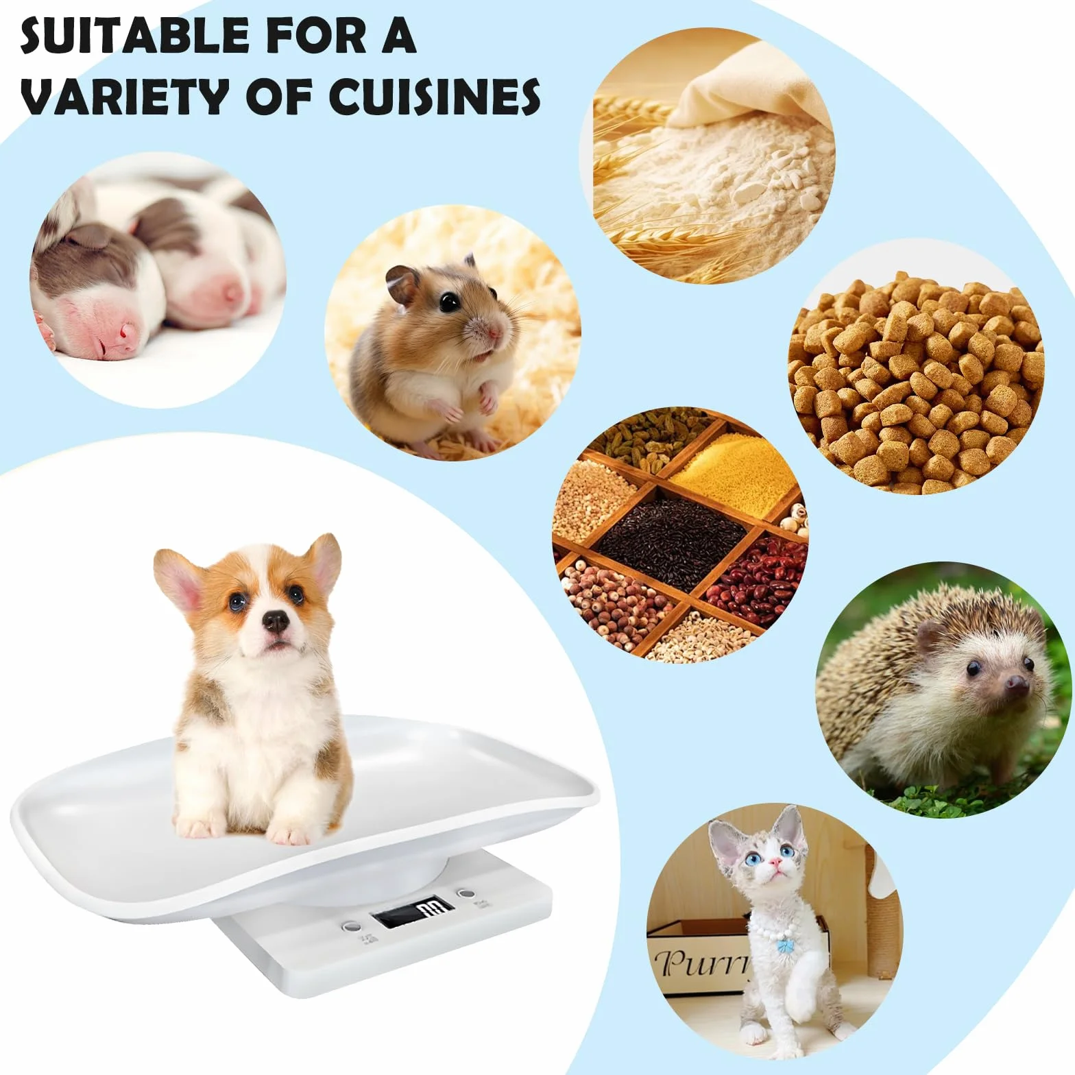 Pèse-bébé numérique pour petits animaux 1-15 kg chatons chiots hamsters oiseaux lapins