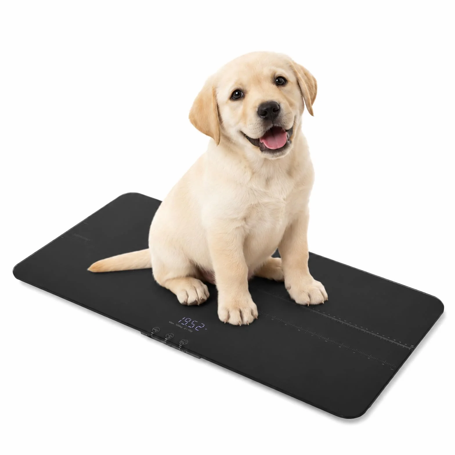Balance numérique pour animaux de compagnie 100 kg Précision 10 g Grande plate-forme Affichage LCD 3 modes de pesée Fonction tare Noir