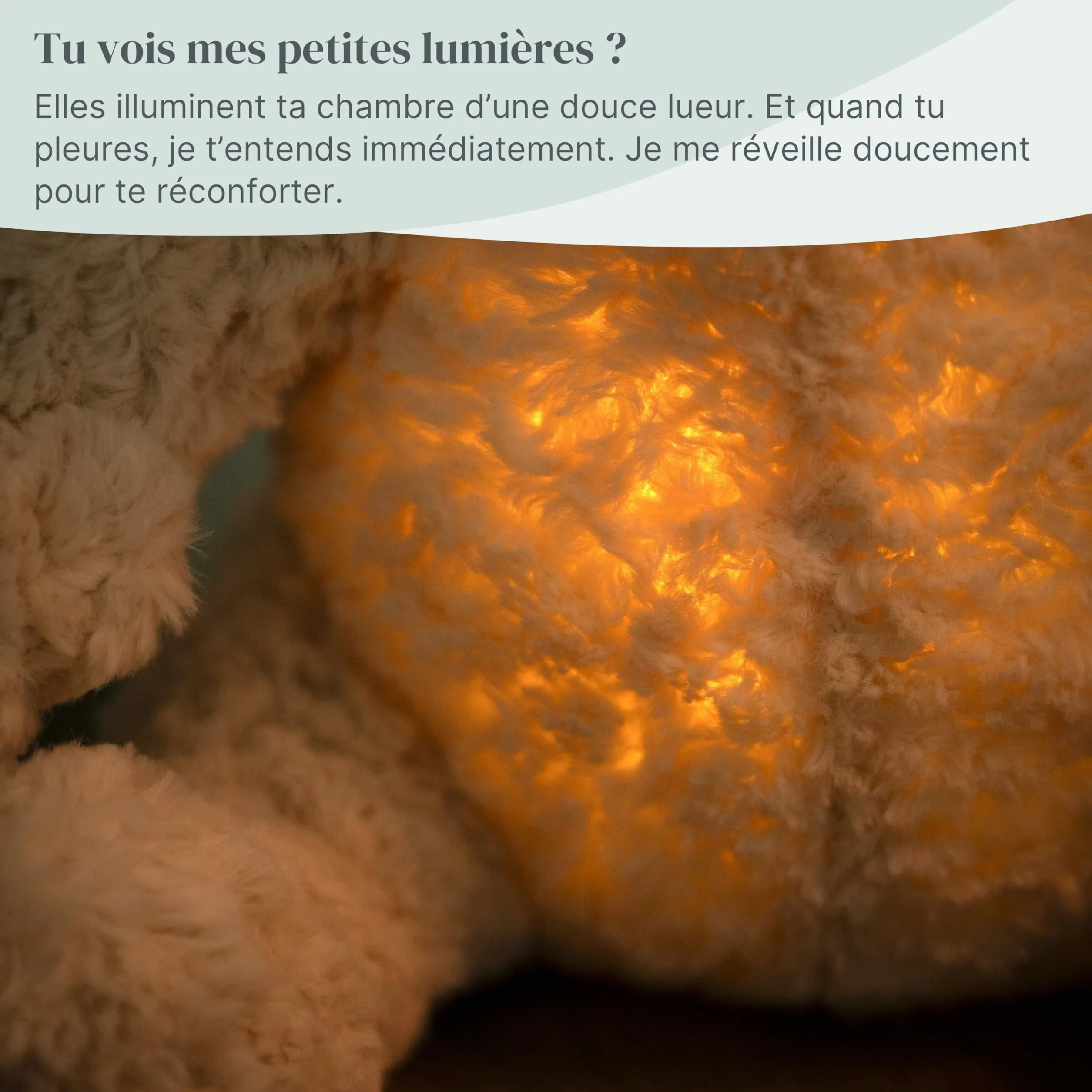 Baby's Only Ours en peluche avec entraîneur de sommeil musical et veilleuse bébé bruit blanc taupe
