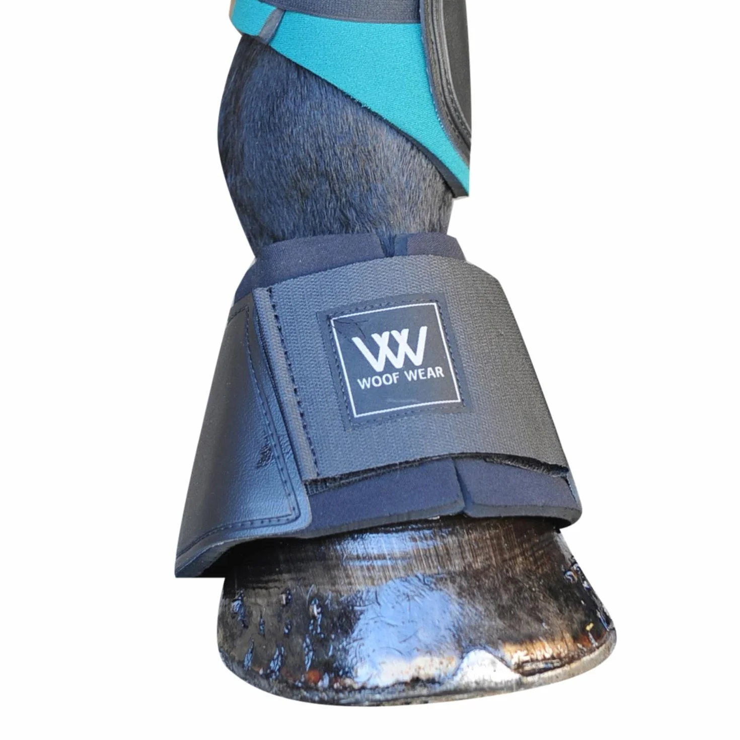 Woof Wear Club Cloche
