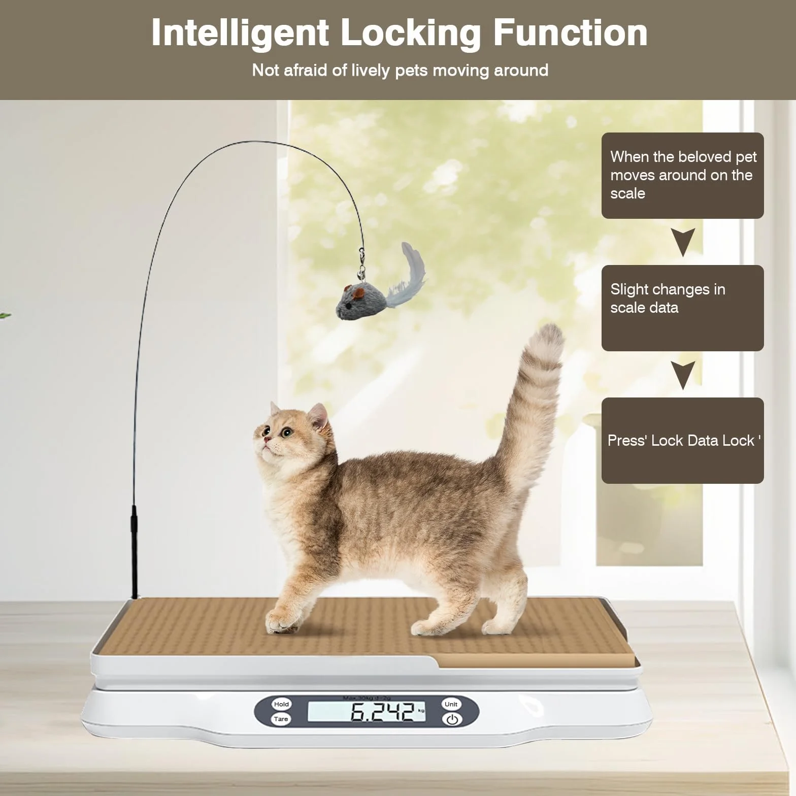 Balance numérique bébé animal de compagnie 2 plateaux 30 kg écran LCD 4 modes pesée kg oz lb ml