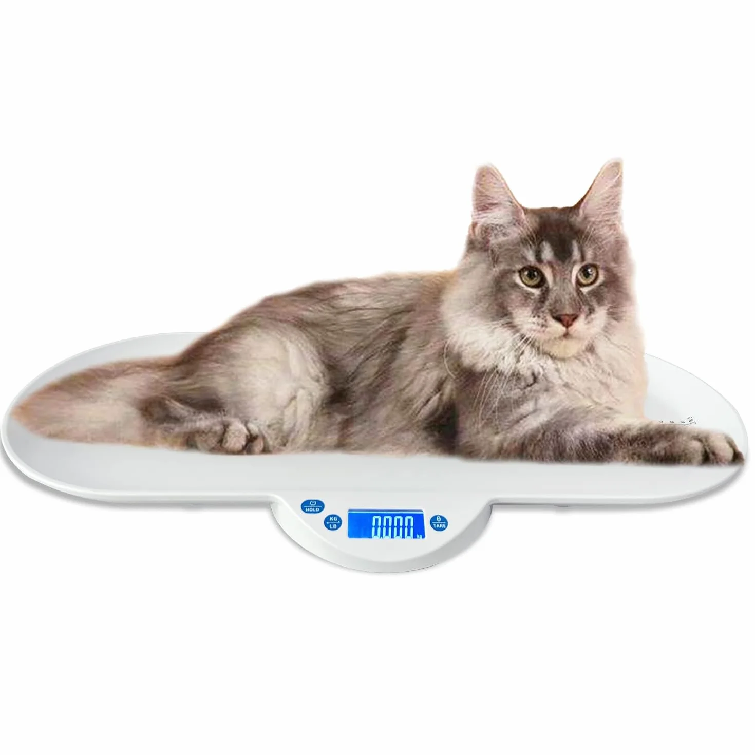 Pèse-personne électronique multifonctionnel pour adultes, bébés, chatons et chiots