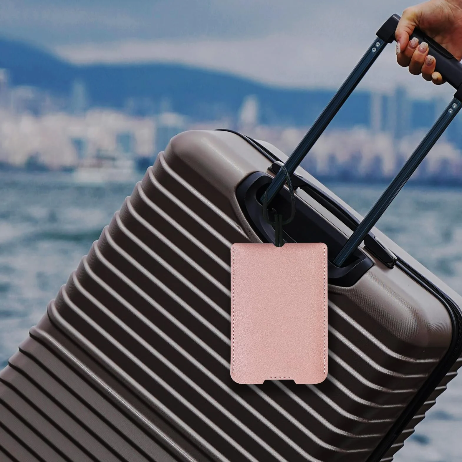 Étiquettes Bagage Noir Lot de 2 Cuir PU à Glissière avec Carte d’Identité