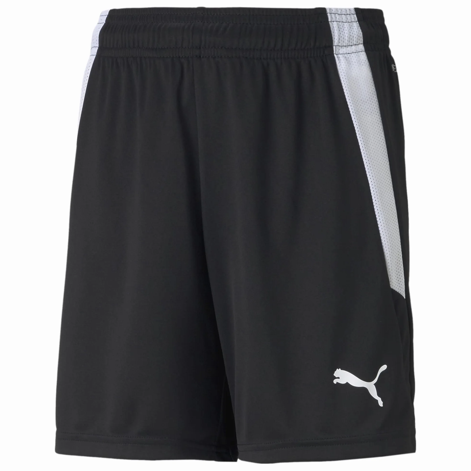 PUMA teamLIGA Shorts Jr enfant