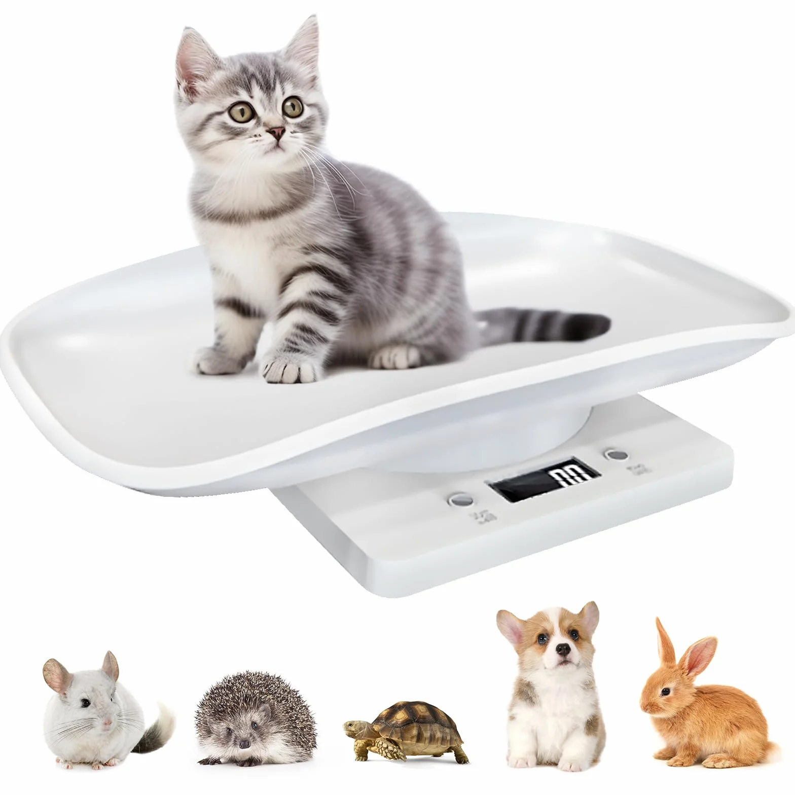 Pèse-bébé numérique pour petits animaux 1-15 kg chatons chiots hamsters oiseaux lapins