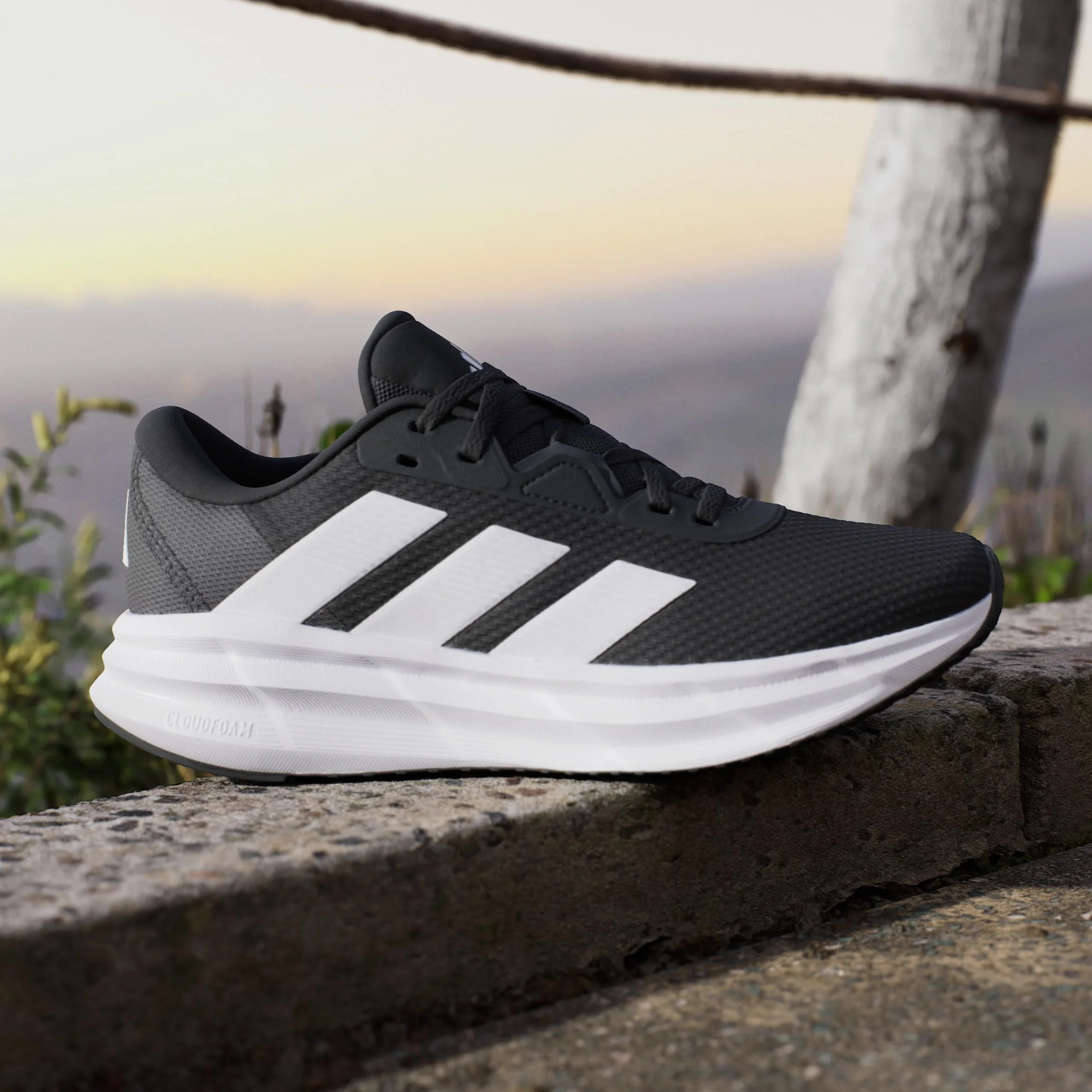 adidas Chaussure de Running Galaxy 7 Femme