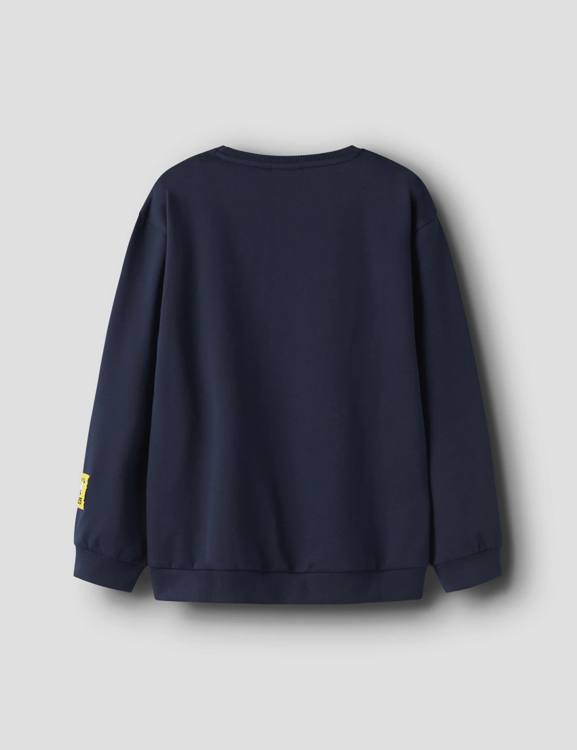 NAME IT Nkmjobi Pokemon Sweat Unb Box Sky Garçon